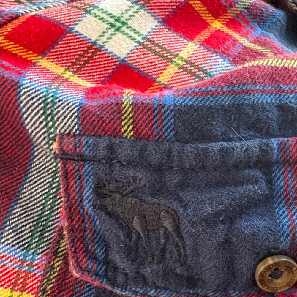 Abercrombie & Fitch Flannel Button Down Shirt - Picture 5 of 7